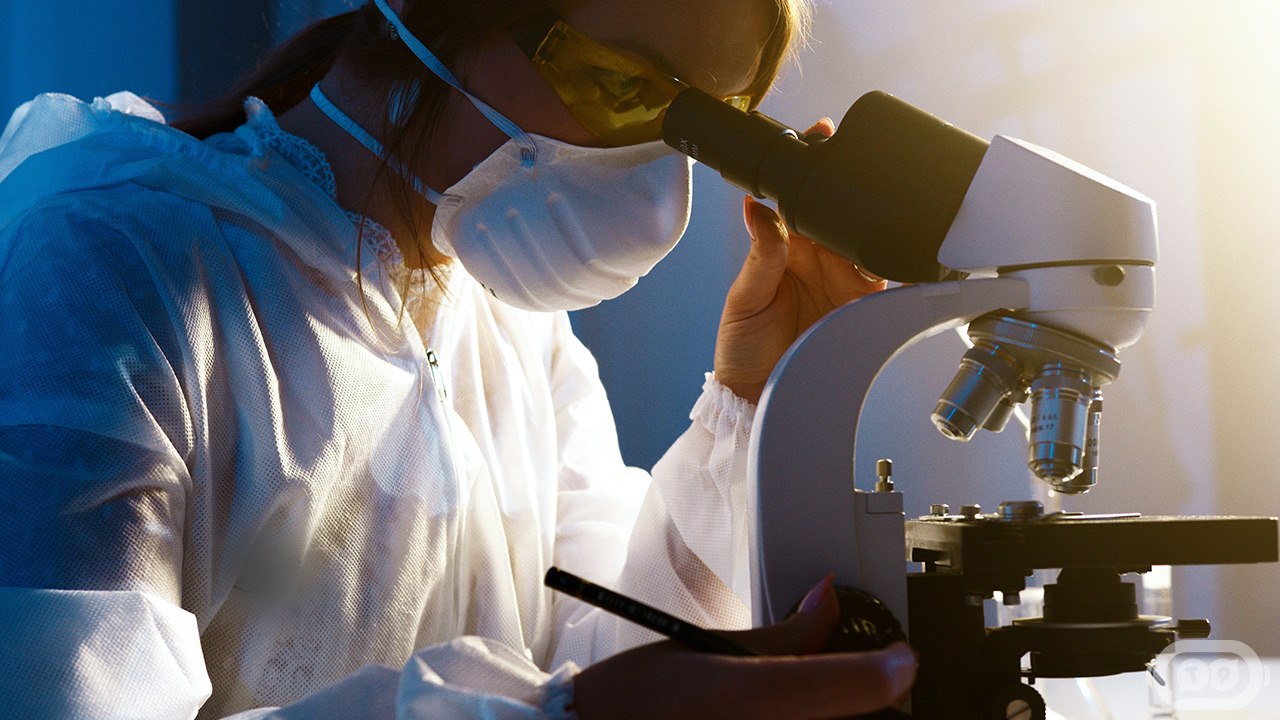 Drug Development Process for Dummies